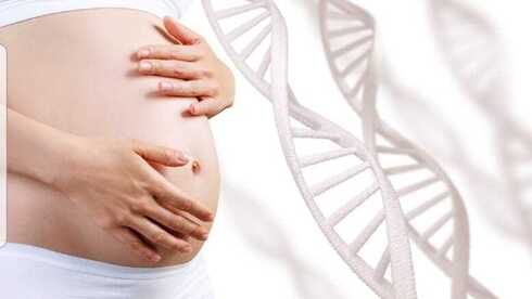 הריון גנטיקה מחלות גנטיות