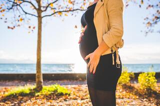 תהליכים פיזיולוגיים של הגוף לפני ובזמן ההיריון